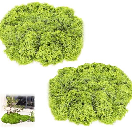QYRDBGY Kunst Moos, 200g Kunstmoos zum Dekorieren Künstliches Deko Moos Künstlich Bastelmoos Moosbild für Wand Krippe Aquarium Krippe Modellbau (Hellgrün)