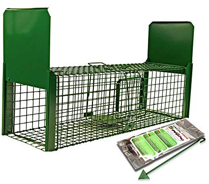 Holtaz Fallen Strong Grün 120x34x34 cm 2 Türen Marderfalle Katzenfalle Fuchsfalle Biberfalle Tierfalle Kastenfalle Drahtfalle Lebendfalle Mit Extra Köder