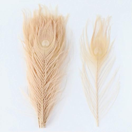 25-30 CM Colorful Peacock Feather Natural Big Eyes Feather 10-12 Inch Wedding Home Clothes Party Decoration DIY Accessories