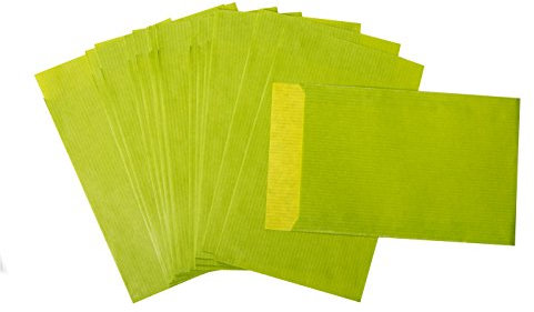 Logbuch-Verlag 50 kleine Geschenktüten hellgrün 9,5 x 14 cm - grüne Papier Flachbeutel Verpackung Schmuck Gastgeschenk