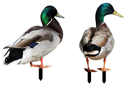 KITANDOVE 2stücke Gartenstecker Deko Mit Lebensechten -tierfiguren Wetterfeste Gartenornamente Für Außenbereich Für Und Gartenverschönerung