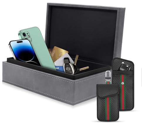 Set scatola e borsa schermanti per chiavi | Protezione antifurto per chiavi dell'auto | Protezione da attacchi RFID/NFC/remoti | Disponibile in diversi modelli (Scatola schermata (grigio chiaro))