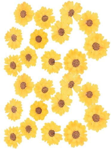 BETOOKY DIY Bastelzubehör Gepresste Chrysanthemen Getrocknete Blumen 24 Stück Für Scrapbooking Und Schmuckherstellung Naturgelb Blüten 2,5 4cm