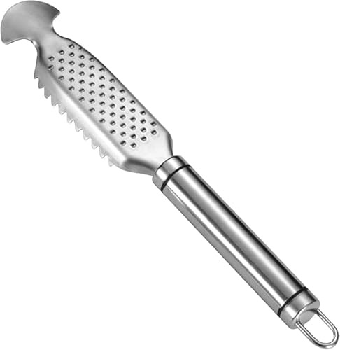 Fischentschupper – Edelstahl-Fischschuppen-Entferner | Fischentschuppen-Bürste mit Ingwerreibe Design | Hängeloch Sägezahn Fischhautschaber | Müheloser Skalierung Fischentkalker (Doppeldrahtgriff)