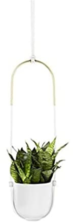 Umbra Bolo Blumenampel für Innen – Hängender Blumentopf für Anbringung an Wand und Decke, für Zimmerpflanzen, Sukkulenten, Luftpflanzen, Kakteen, Kunstpflanzen und Mehr, Keramik/Messing, Weiß