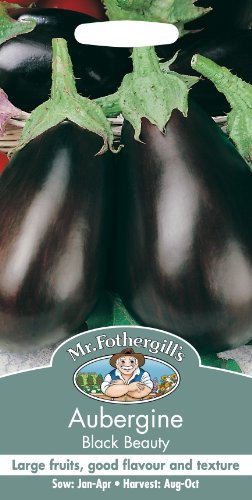 Mr Fothergill's 25386 Vegetable Seeds, Aubergine Black Beauty