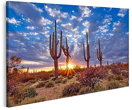 islandburner Prime Bild auf Leinwand Malerische Arizona Wüste Landschaft Saguaro Kaktus Dramatische Wolken Bilder Wandbilder Poster