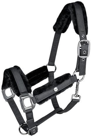 WALDHAUSEN Halfter Phoenix, schwarz, VB