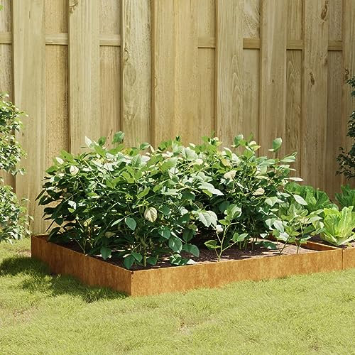 ShGaxin Jardinière en acier Corten 824514 100 x 26 cm
