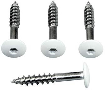 SN-TEC Fassadenschrauben Rostfrei Edelstahl V4A 5,5x 25 mm, weiß Pulverbeschichtet RAL 9010 mit Torx T20 Aufnahme (Mengenauswahl möglich) (50)