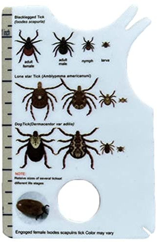 fanelod Zeckenentfernungswerkzeug, Zeckenkarte mit Lupe, Zeckenkarte für Menschen im praktischen Taschenformat, Flohentfernungskarte mit Zeckenidentifikation für Zecken, Läuse, Flöhe,Nissen für Hunde