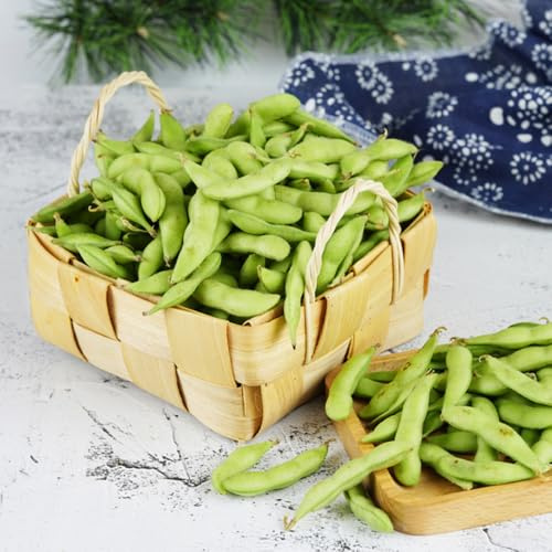 Semillas de frijol resistentes al exterior Las de jardín rocas son resistentes techos verdes para jardín, camas 160pcs
