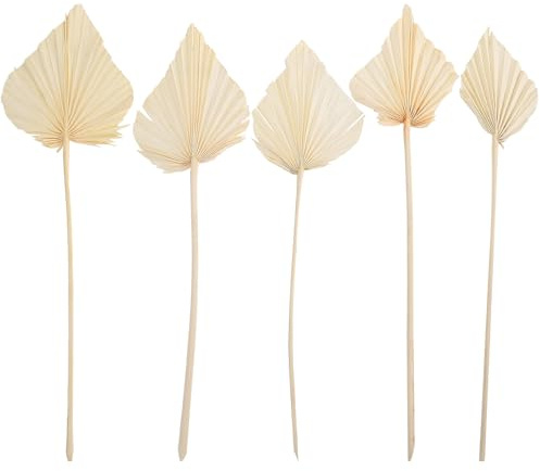 Toddmomy Hojas de Palma Secas 5 Piezas en Tonos Claros para Decoración Artística de Bodas y Espacios Estilo Chic y Sentido Artístico