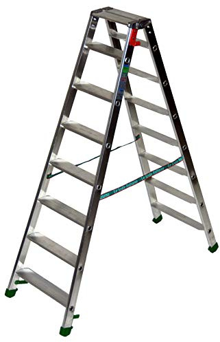 Facal Scale Facal Dupla