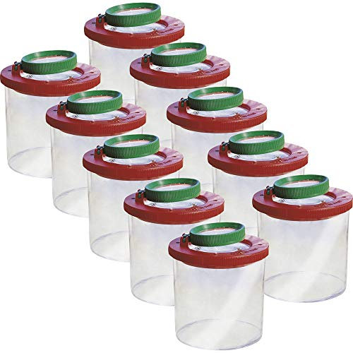 Becher Lupe Becherlupe Lupenbecher Lupendose Maxi 20 Stück Top Qualität