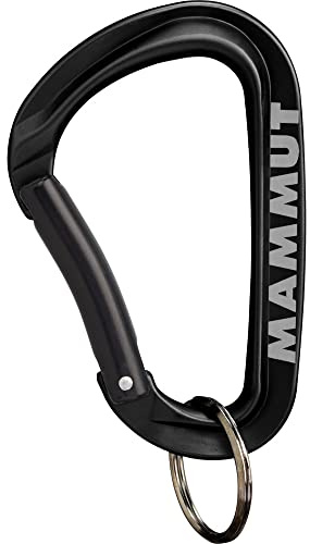 Mammut Mini Carabiner Workhorse Keylock L