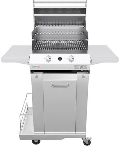 Pianeta Grill Barbacoa de gas para exterior, terraza y jardín, de acero inoxidable, con carro de 4 ruedas y compartimento para bombona, 2 quemadores de 4 kW con tapa y termómetro, placa de cocción de