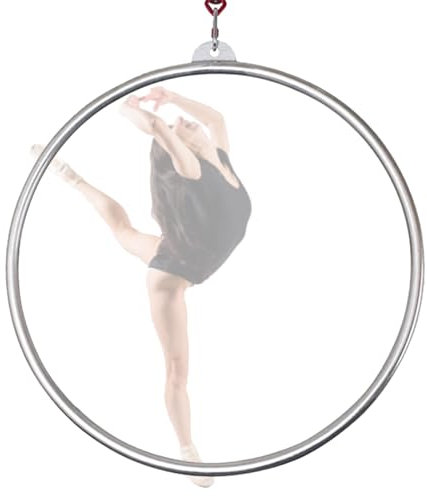 WJFTODAY Aerial Hoop Ring Set - 90 cm Edelstahl Single Point Aerial Hoop, Zirkus Aerial H Edelstahl Single Point Aerial Hoop, Zirkus Aerial Hoop, Aerial Hoop Ausrüstung für Tanzstudio, Aerial Fitness