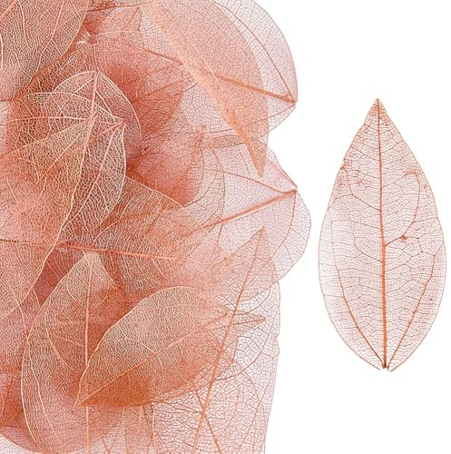 craspire 100 Stück Skelett Blätter Natürlich Ficus Religiosa 4.5-5mm Bräunlich Rot Künstliche Blätter Gummibaum Getrocknete Gepresste Blätter Scrapbooking Karten Hochzeit DIY Basteln Dekoratives