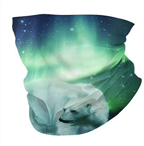 Vince Camu Nordlichter Eisbär,Winddicht Balaclava,Schlauchschal,Halswärmer,Halstücher,Multifunktionstuch Rundschal,Gesichts,Männer Frauen Sturmhaube