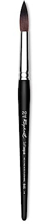 Raphael Soft Aqua Brushes - Rounds - Size 20 by Raphael Brush