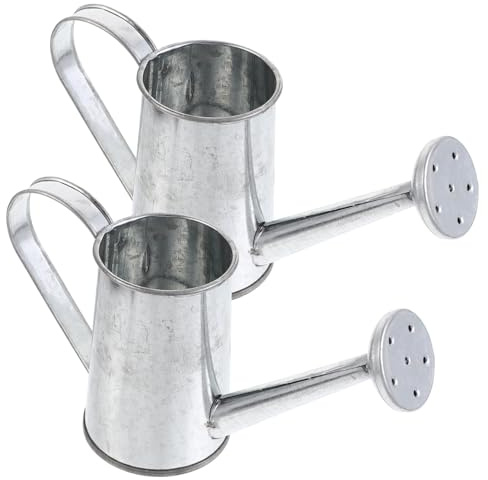 Hemobllo 2 pièces Arrosoirs Miniatures Robustes et Durables pour Plantes Dintérieur et Extérieur Outils Darrosage pour Fleurs Bonsaïs Décoration Jardin