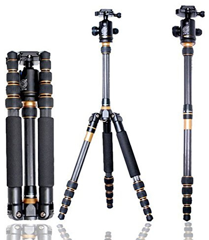 QZSD Q777C - Trípode de viaje compacto y portátil de fibra de carbono con cabeza de bola y bolsa de transporte para cámara digital y videocámara