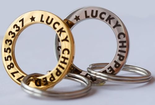 Personalised Hollow Dog Tags for Puppy & Cat - Stainless Steel ID Tag with Any Text (Silver Large)