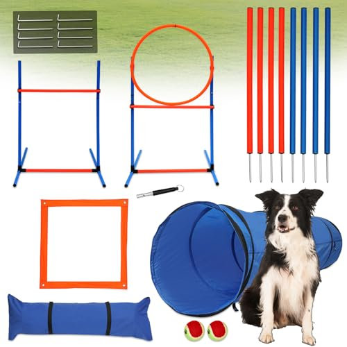 Mokmoke Agility-Trainingsgerät für Hunde, 5-teilig, Agility-Kurs, Hinterhof-Set, Hunde-Hinderniskurs mit Hundetunnel, Webstangen, Sprungring, Pausebox, Agility-Sprung (Boden einsetzen)