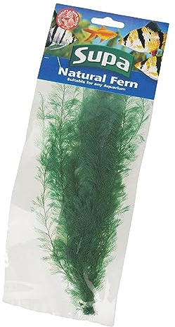 Supa Natural Large Size Green Coloured Fern. Attractive Decoration Which Adds Colour and Movement to Your Aquarium/Fish Tank