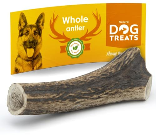 Natural Dog Treats - Hunde Hirschgeweih - Natürlich Hirschgeweih für Hunde groß - Kauknochen Hund - Kaustangen Hund - Kauspielzeug und Zahnpflege - Hundespielzeug - Große (101-150gr)