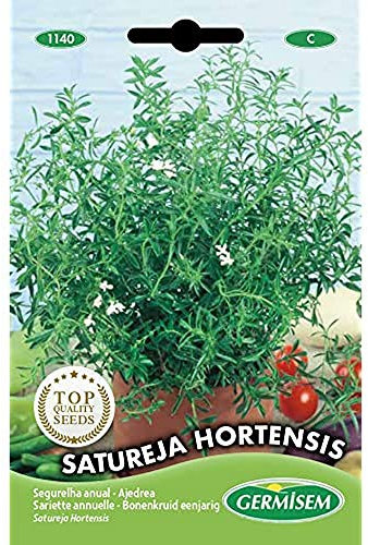Germisem graines Sariette annuelle SATUREJA HORTENSIS