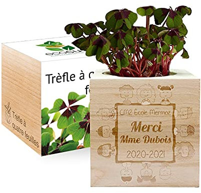 Amikado - Ecocube gravé Merci Maîtresse (Trèfle à 4 feuilles) - Plantes dans Un Cube en Bois - 100% Eco Friendly - idée Cadeau Durable