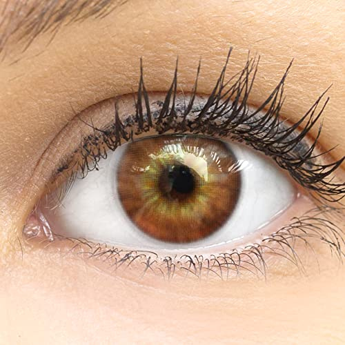 Kontaktlinsen farbig ohne Stärke farbige Monatslinsen weiche Linsen soft Hydrogel 2 Stück Farblinsen + Linsenbehälter 0.0 Dioptrien natürliche Farben Serie Cagliari Brown (braun)