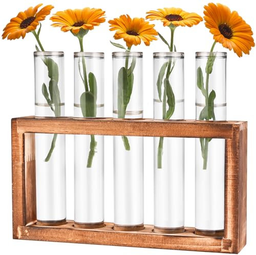 Cieex Reagenzgläser Blumenvase - Kleine Reagenzglas Vasen mit Ständer Holz - Glasrohre mit Flachboden - Modern Vasen Deko Set für Hydrokultur Pflanzen, Tisch Hause Büro Wohnzimmer Küche Deko