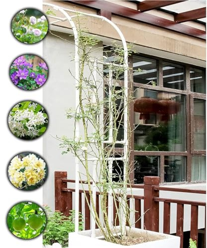 Arco da giardino in metallo per piante rampicanti, decorazione per matrimoni, design a mezzo arco, bianco, dimensioni: 150 x 240 x 240 cm, 180 x 240 cm, 200 x 240 cm, 250 x 240 x 40 cm