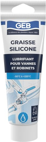 GEB Graisse Silicone - Lubrifiant pour robinetteries et sanitaires. Spécial eau potable - Tube de 125ml - Blanc