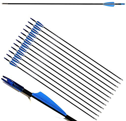 ZSHJG 12pcs Fiberglaspfeile 31 Zoll Bogenpfeile für Bogenschießen Bogen und Pfeile Pfeil für Fiberglas mit Pfeilköcher für Recurvebogen und Compoundbögen (Blau)