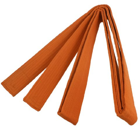 Ruilogod Orange 2.74m langer flexibler Karate Taekwondo Judo Gürtel