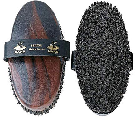 Haas Kardätsche Senior