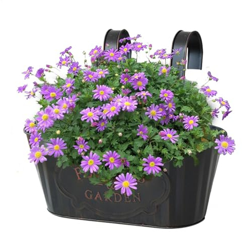 Railing Plaanter - Metal Hangable Deck Plaanter, Balcony Garden Box | Window Flower Pots, Outdoor Plant Holders, Decorative Fence Plaanter Patio Hanging Containers for Home Decoration