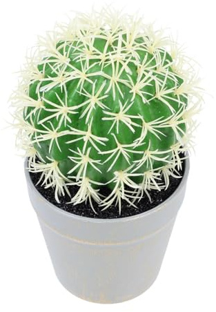 Ciieeo Mini Bonsai Cactus Artificiale in Vaso Decorazione da Compatta e Realistica per e Cucina Necessità di Manutenzione
