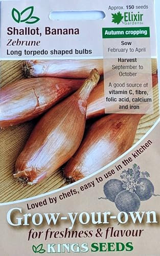Elixir Gardens Vegetable Seeds Packets UK |Over 40 Various Types Mix and Match | High Yield Excellent Germination from Kings Seeds | Shallot (Banana) Zebrune