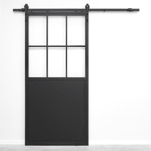 SEART Loft-Glasschiebetür Modena, Schiebetürsystem, pulverbeschichtet (100x210cm, Transparent) 100x210 cm