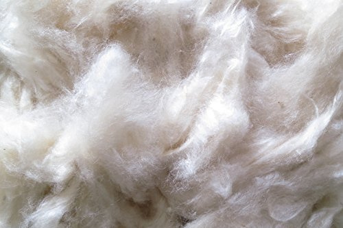 pemmiproducts Füllwatte 100% Kapok Watte, beige,10 kg, Bastelwatte