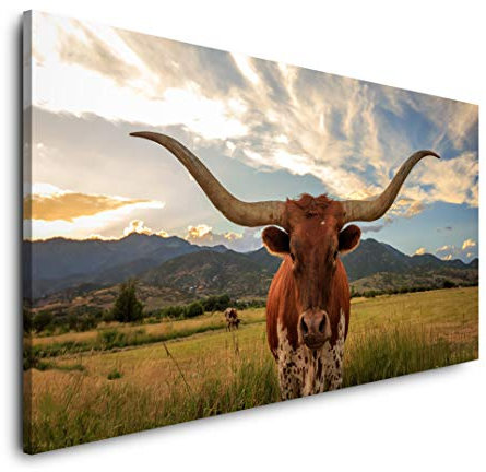 Texas Stier 120x 60cm Panorama Leinwand Bild XXL Format Wandbilder Wohnzimmer Wohnung Deko Kunstdrucke