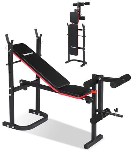 LEADZM Pliable Banc de Musculation Réglable avec Support pour Haltères, Dossier/Siège Réglable sur Trois Positions, Adapté à un Entraînement Complet, Capacité de Charge 200 kg