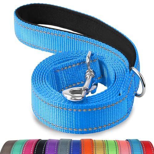 Joytale Hundeleine für Große und Mittelgroße Hunde, Doppelseitig Reflektierende Leine Hund aus Nylon mit Gepolstertem Griff, 1,8m x 2,5cm, Blau