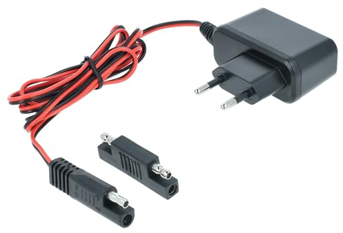 vhbw Chargeur pour démarreur de Batterie pour Tondeuse