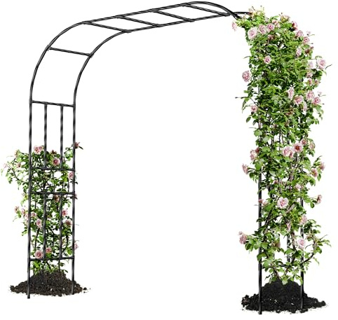 Caroeas Arche de Jardin pour Plantes Grimpantes,250x240x40cm，Arceau Métallique pour Rosiers, Tonnelle Décorative Extérieure, Résistante à la Rouille et à la Décoloration